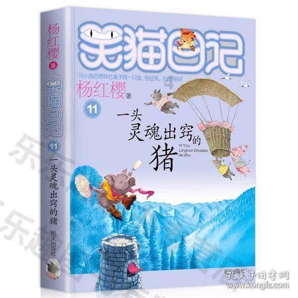探寻问题答案,五菱之光跟五菱之光s可以买一样的车衣?为您解疑答惑